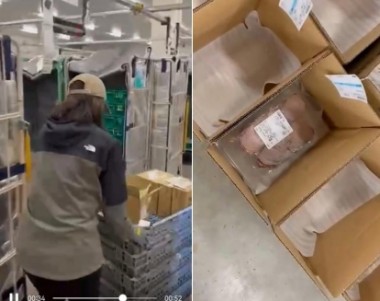 鹿兒島縣食品包裝